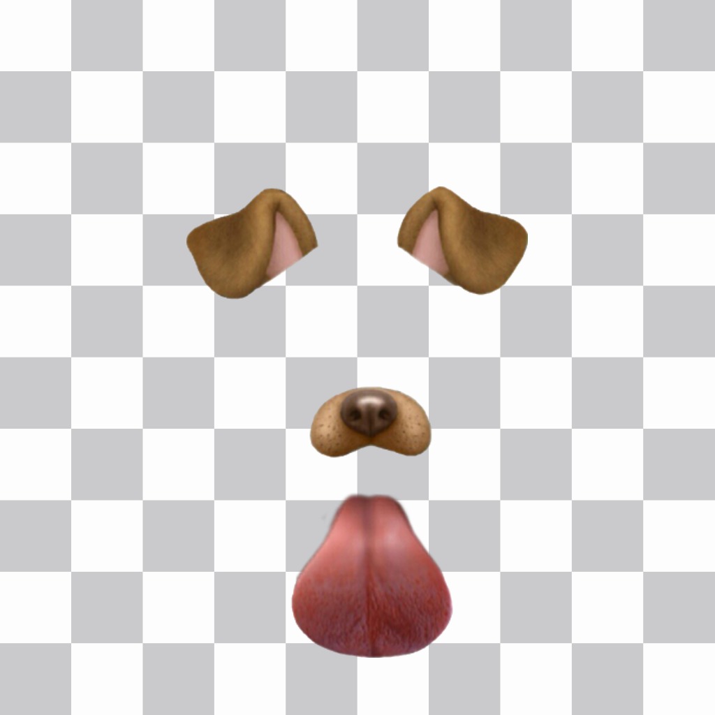 Dog filter Snapchat sticking out his tongue to put on your face 