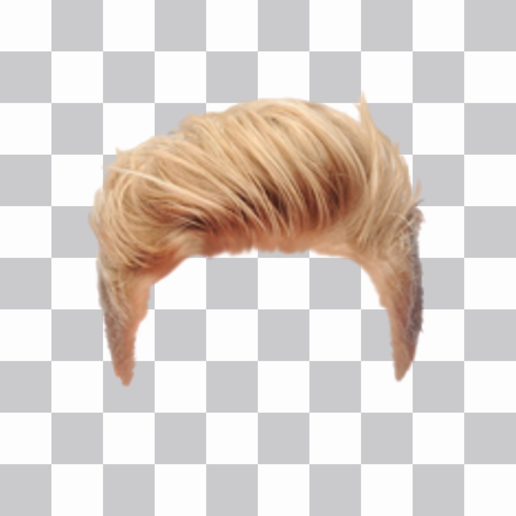 Online editor blond hair wig for men