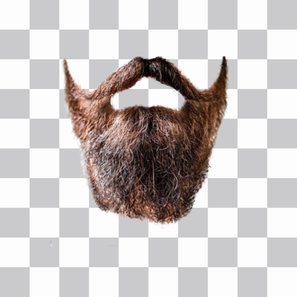 Photomontage to put a beard on your photo