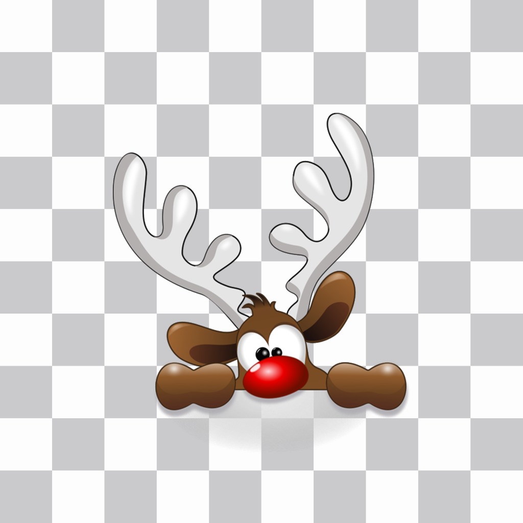 Santa Claus reindeer..